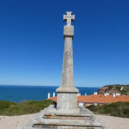 Palm Tree Sao Martinho do Porto