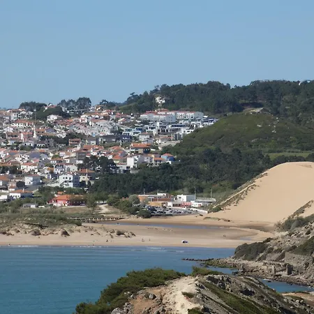 Apartment Palm Tree Sao Martinho do Porto