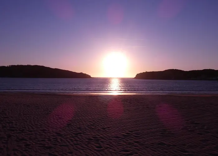 Palm Tree Apartment Sao Martinho do Porto