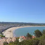 Palm Tree * São Martinho do Porto