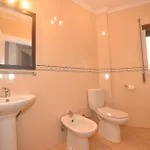 Apartamento Palm Tree