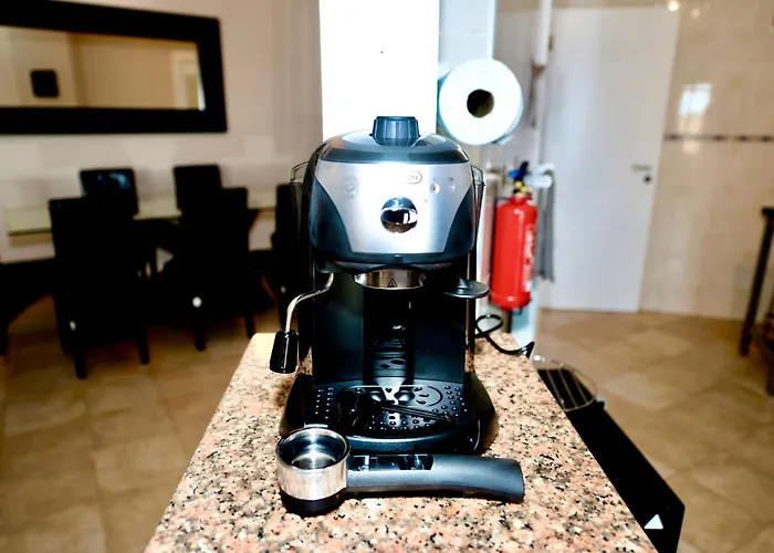 Daire Palm Tree São Martinho do Porto