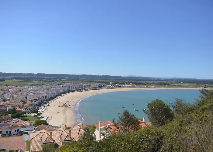 Palm Tree * São Martinho do Porto