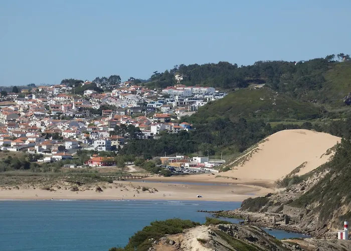 Daire Palm Tree São Martinho do Porto